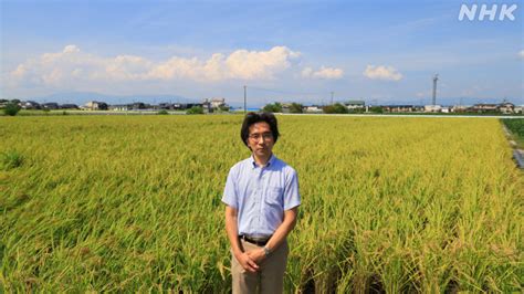 土雷|”雷が豊作をもたらす”は本当？ ー言い伝えにサイエン。